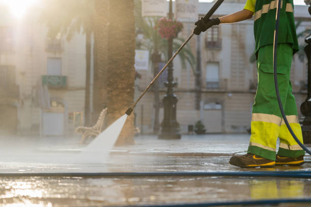 Best Gutter Cleaning  in Astor, FL